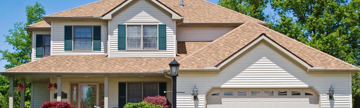 Professional Roofing Services Professional Roofing Services